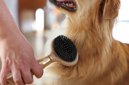 Brosse Double gamme chien - MagicBrush