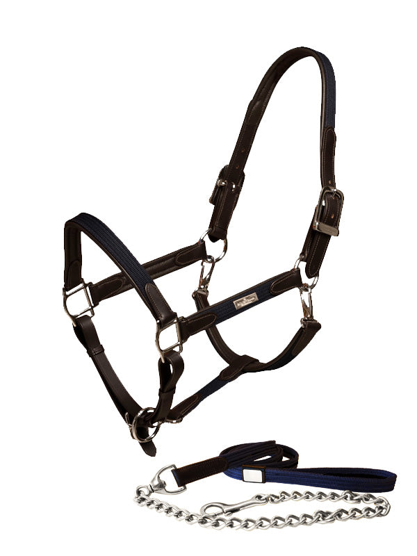 Licol et longe cuir Navy -  Equestrian Stockholm