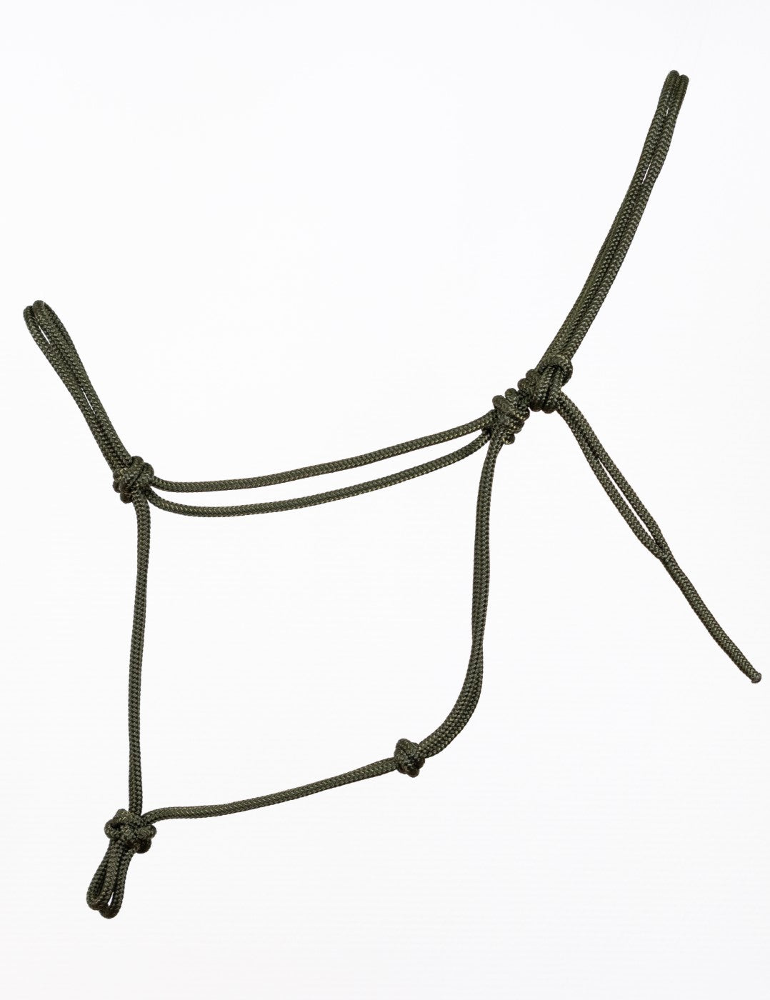 Licol en corde Kaki - Horse & Ropes