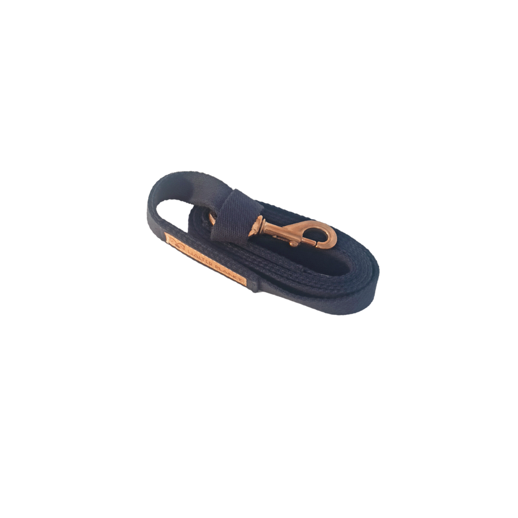 Longe Merlin - Halter Planet
