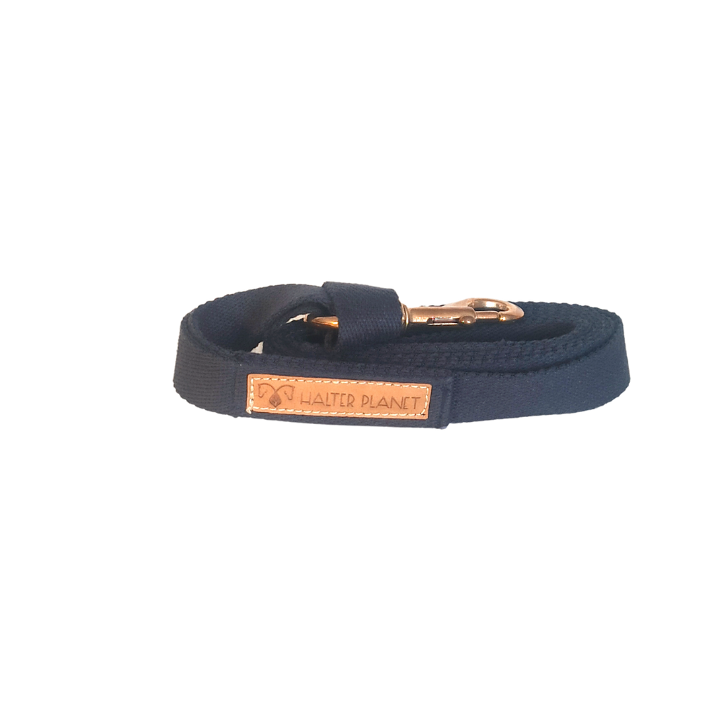 Longe Merlin - Halter Planet