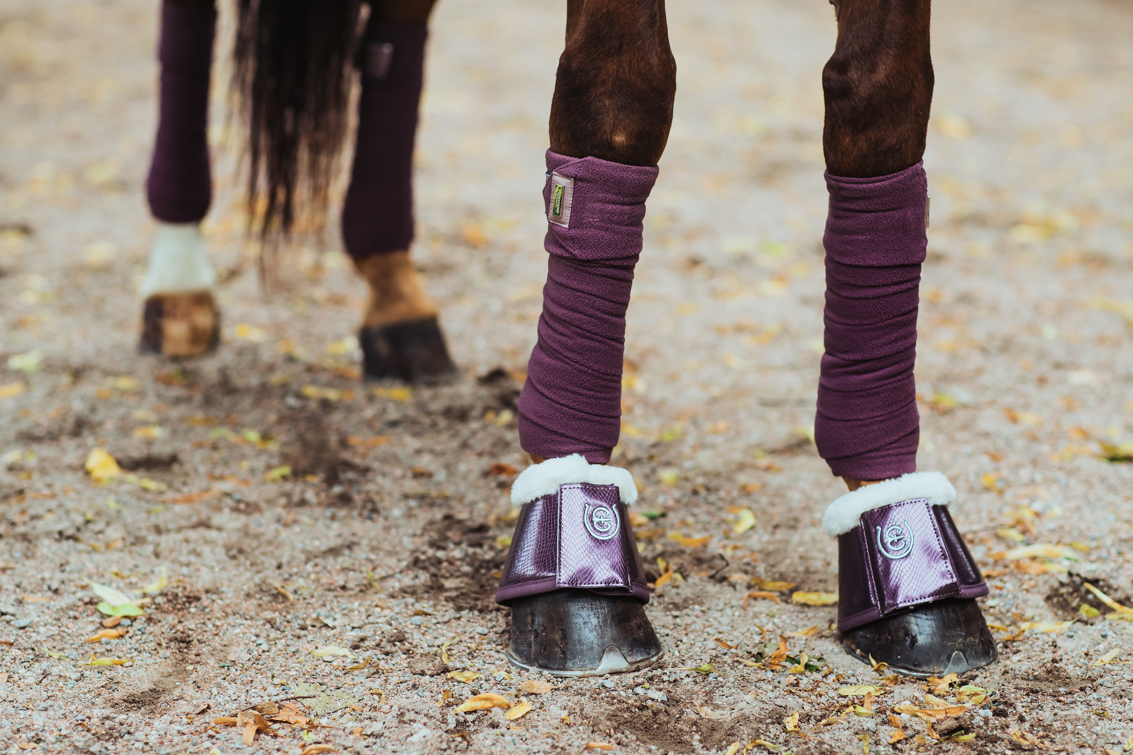 Bandes de polo Orchid Bloom - Equestrian Stockholm