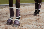 Guêtres de dressage Orchid Bloom - Equestrian Stockholm