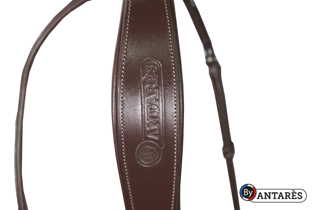 Bridon muserolle combinée Signature - Antarès