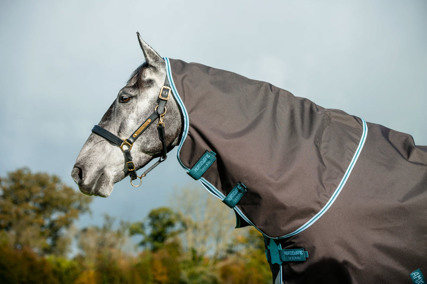 Couverture Amigo Bravo 12 plus 0g Horseware 145cm - Occasion