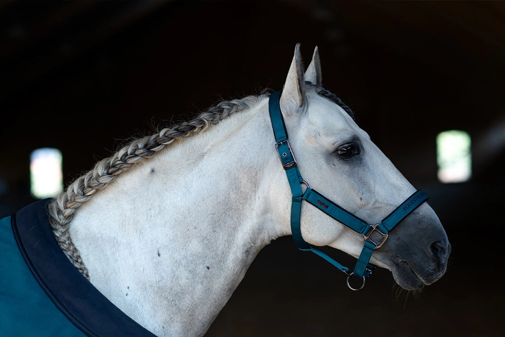 Licol et longe Aurora Blue -  Equestrian Stockholm