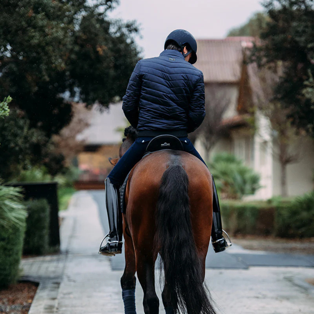 Bomber homme - Equestrian Stockholm