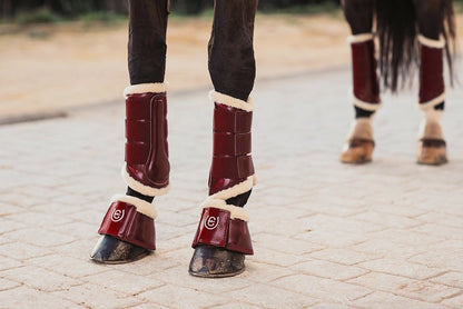 Guêtres de dressage Bordeaux - Equestrian Stockholm