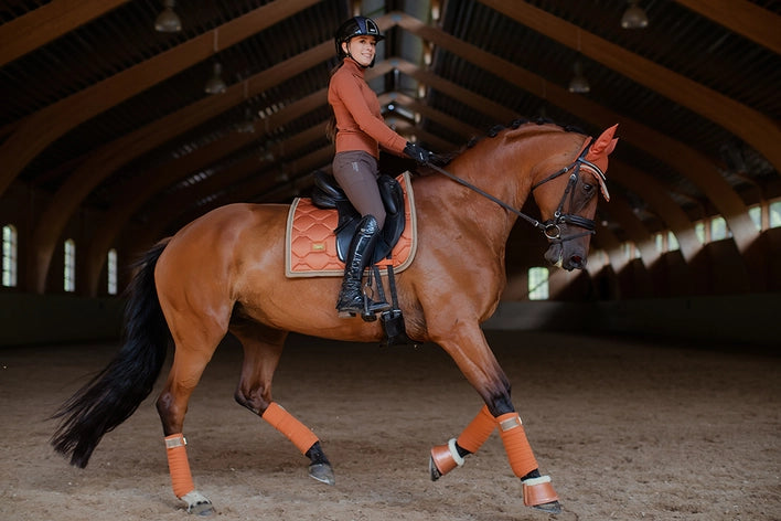 Pantalon d'équitation Elite mid brown full grip - Equestrian Stockholm