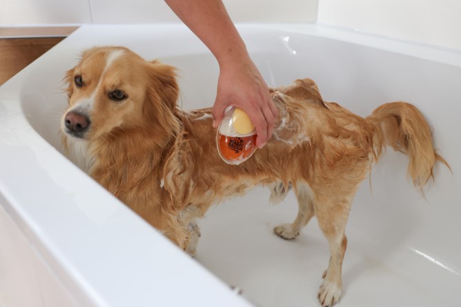 Brosse de bain gamme chien - MagicBrush