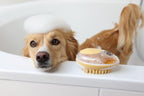 Brosse de bain gamme chien - MagicBrush