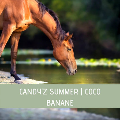 Friandises Coco Banane - CZH'Feed & Care