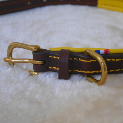 Collier chien en cuir havane et jaune - Caliway