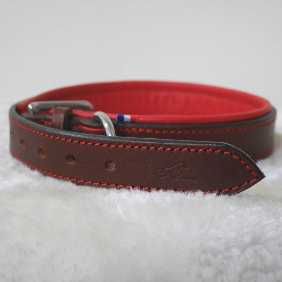 Collier chien en cuir havane et rouge - Caliway