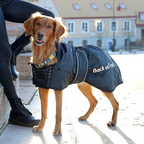 Couverture pour chiens Back on Track - Occasion