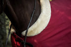 Couverture polaire Bordeaux - Equestrian Stockholm