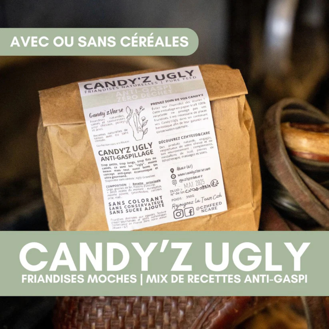 Friandise Candy'z Ugly - Candy'z Horse