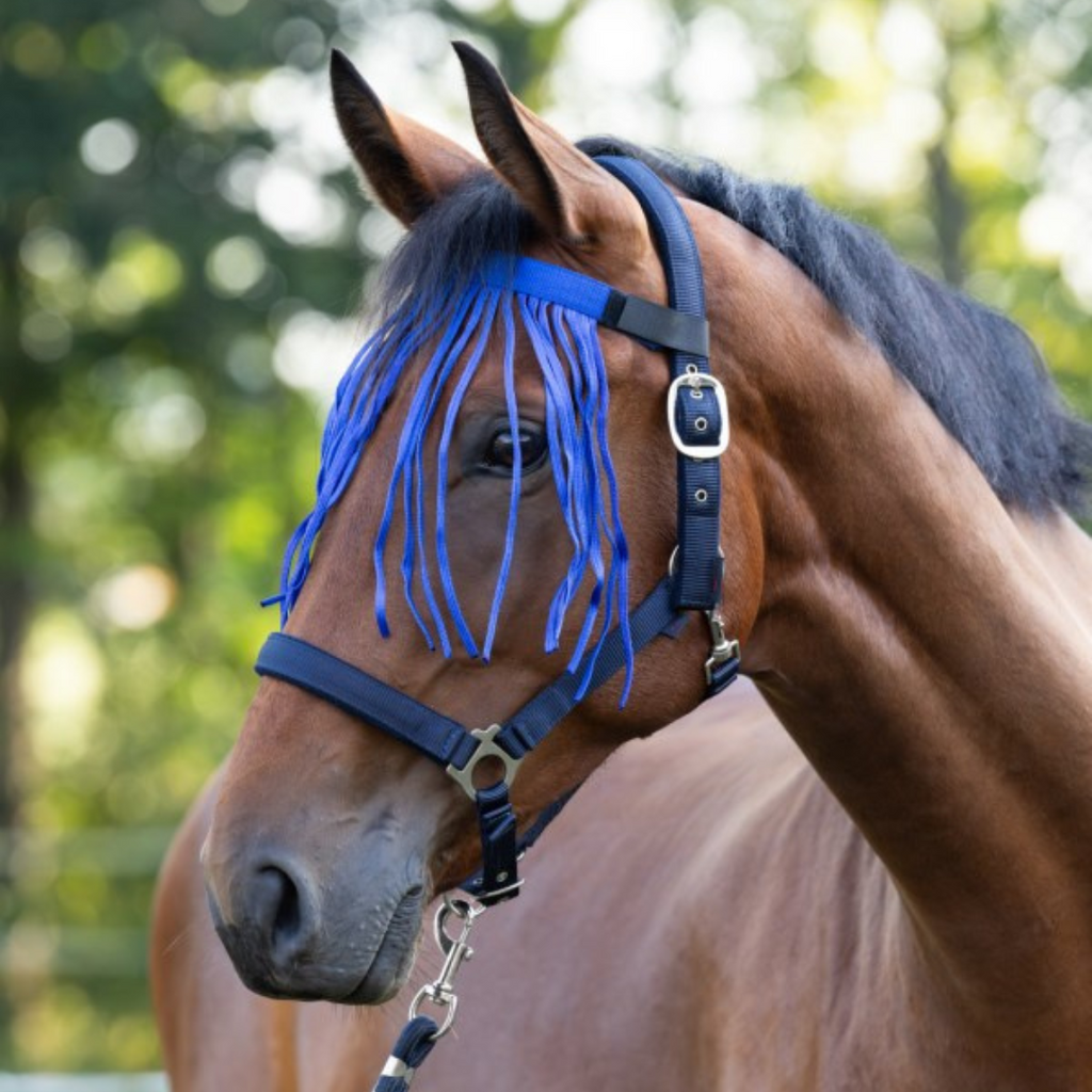 Frontal anti-mouche bleu - Kerbl