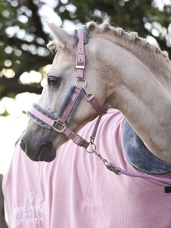 Licol doublé moumoute et longe Pink - Equestrian Stockholm