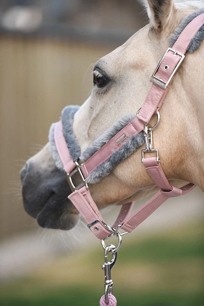 Licol doublé moumoute et longe Pink - Equestrian Stockholm