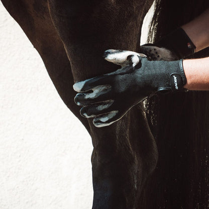 Gants de pansage Récréation - Racer