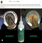 Gel traitant pourriture sévère de la fourchette - Ekin