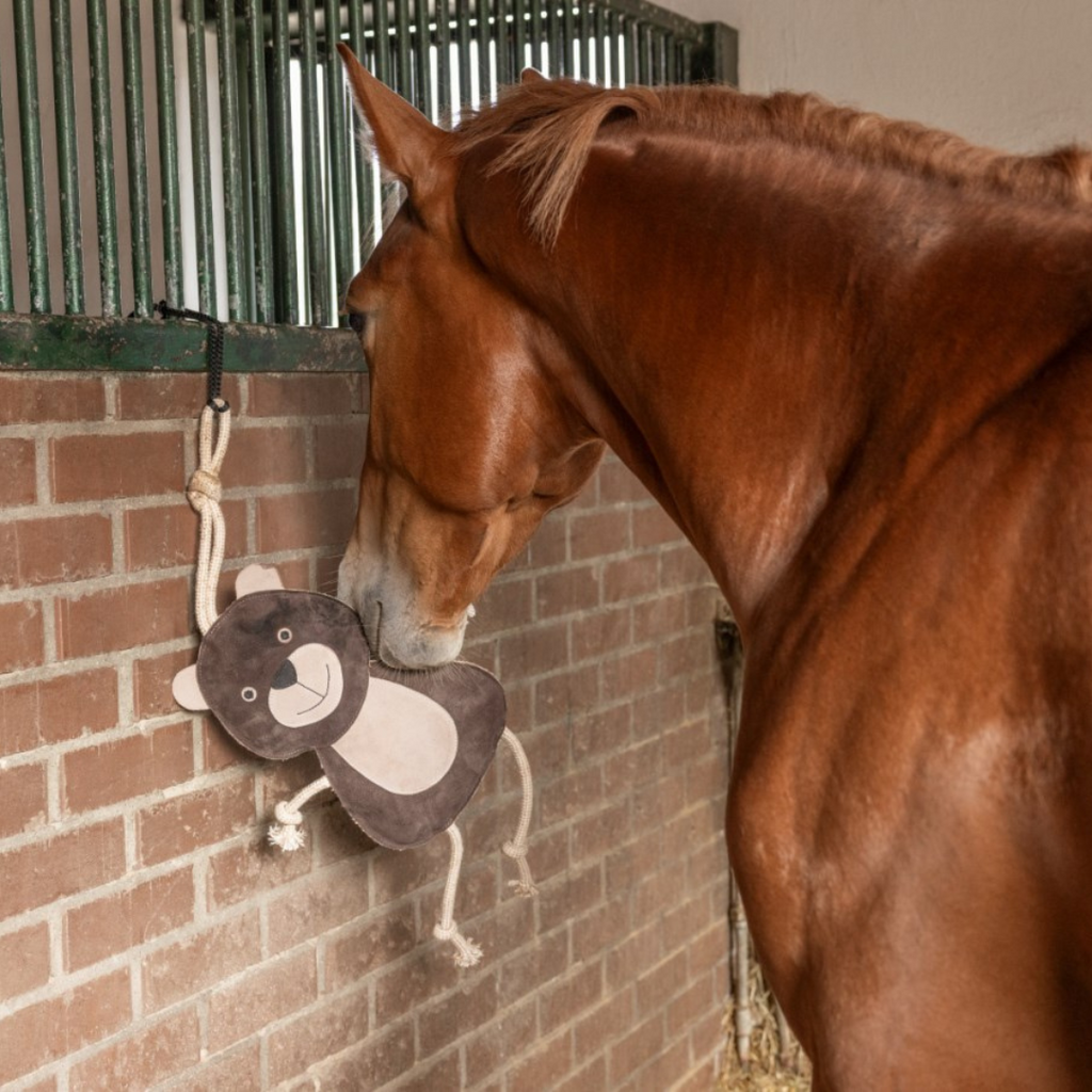 Jouet ourson pour chevaux - Kerbl