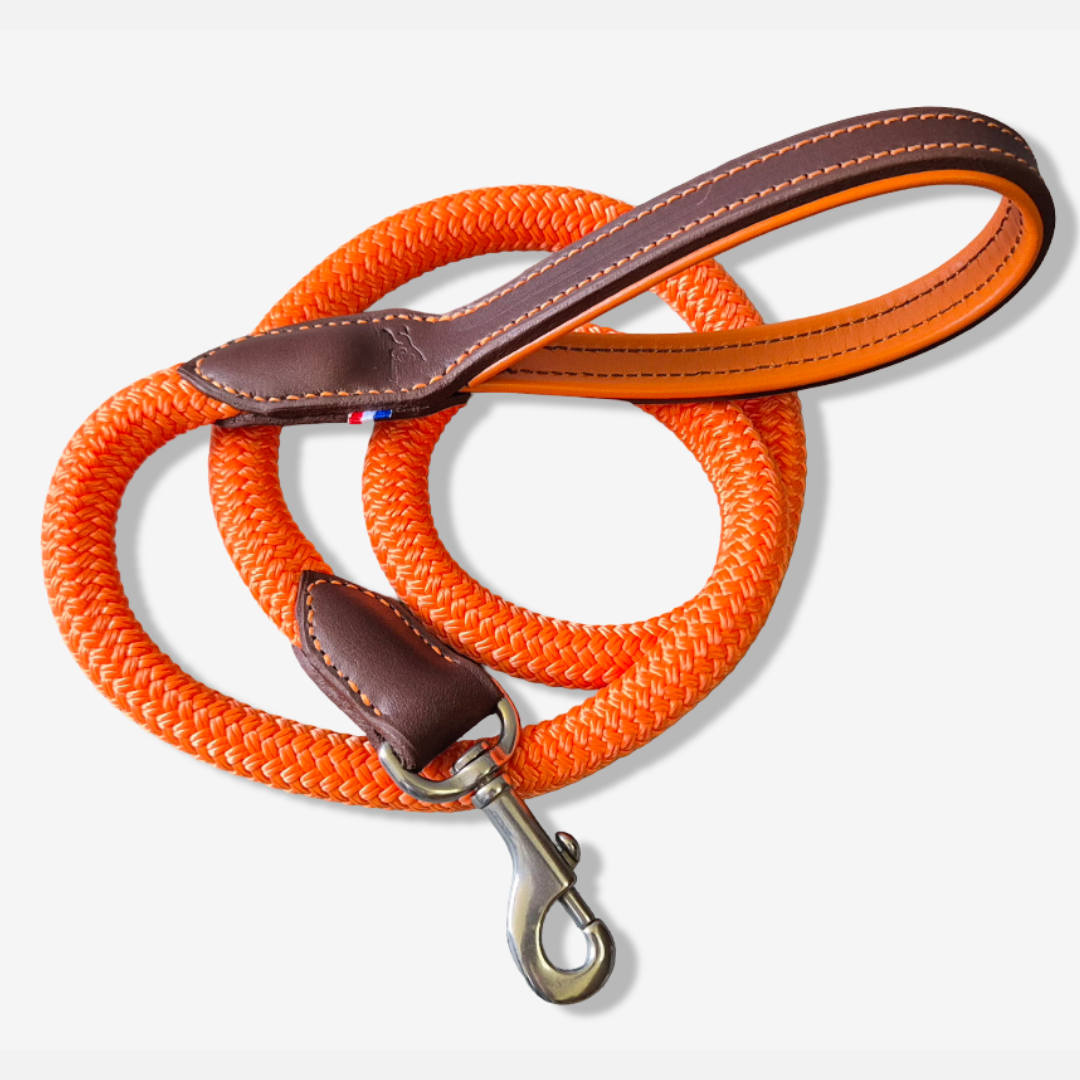 Laisse cuir et corde chien orange et noire - Caliway