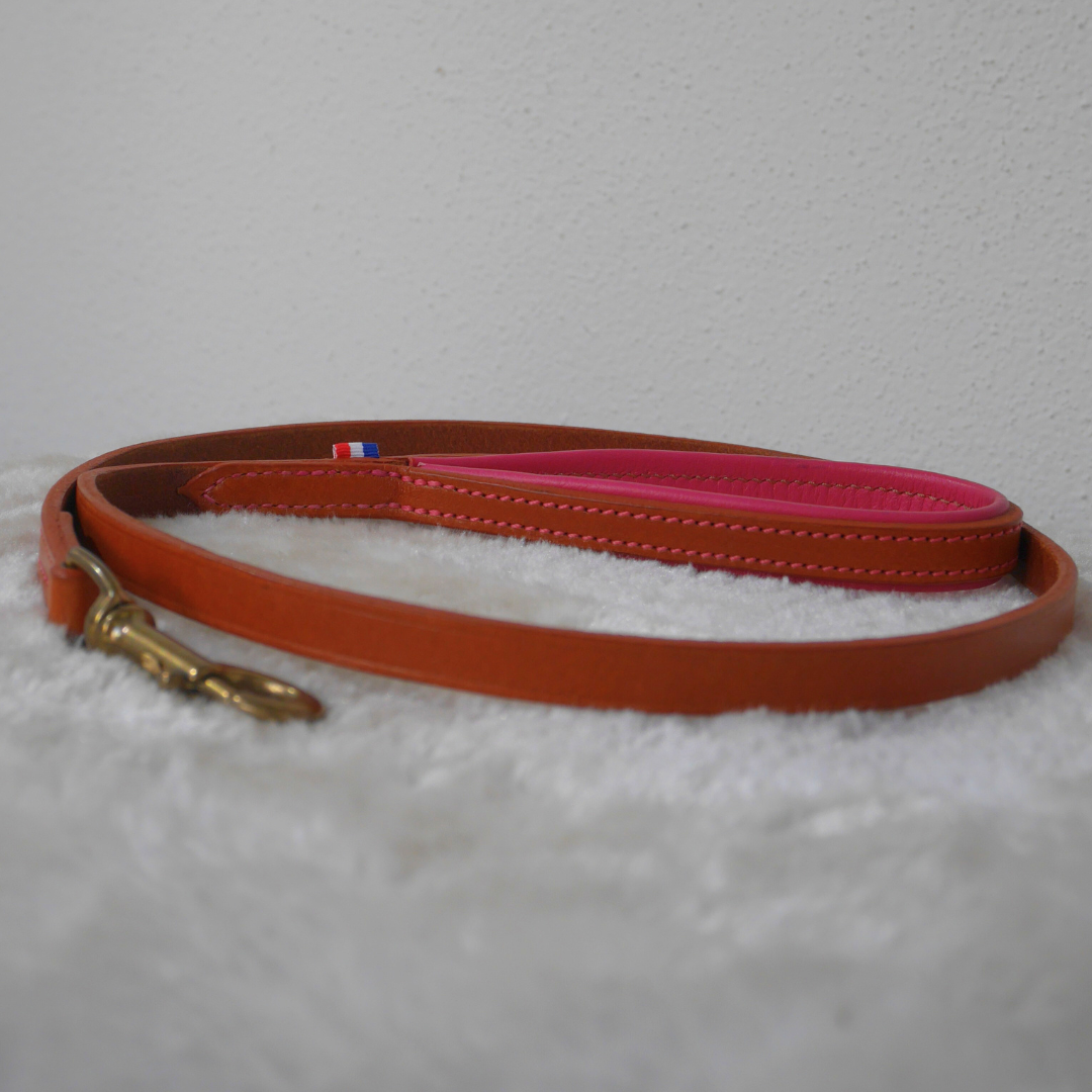 Laisse cuir chien cognac et rose - Caliway