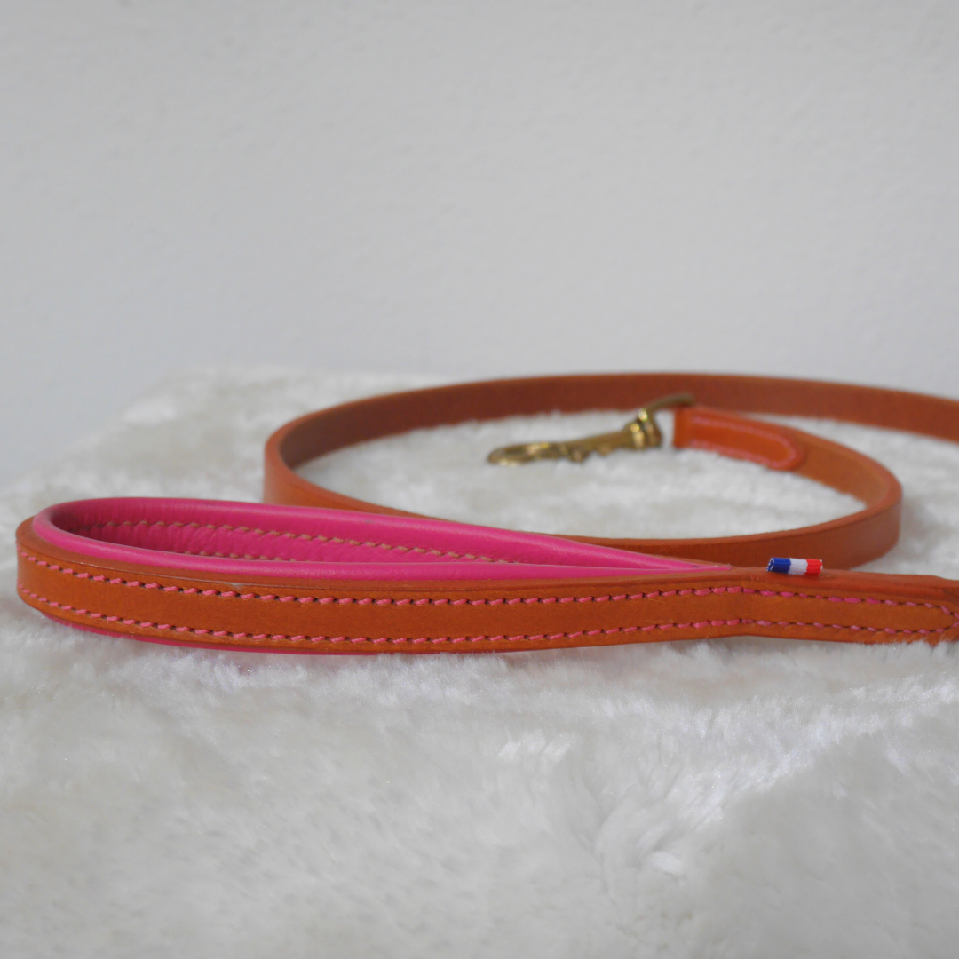 Laisse cuir chien cognac et rose - Caliway