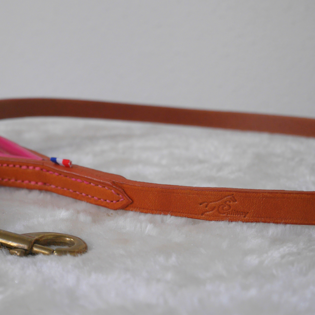 Laisse cuir chien cognac et rose - Caliway