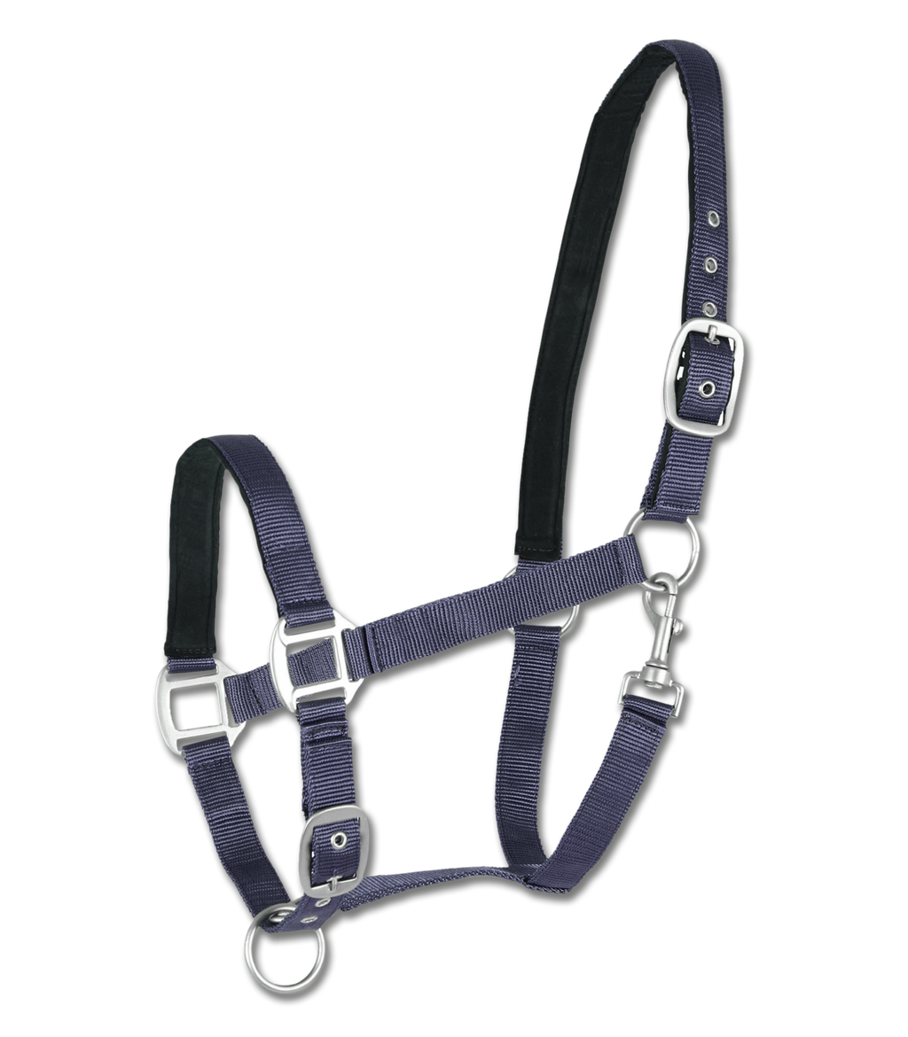 Licol Satin Bleu Grand Cheval ou Trait - Waldhausen