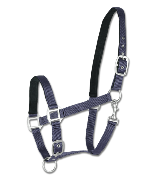 Licol Satin Bleu Grand Cheval ou Trait - Waldhausen