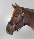 Licol Satin Bleu Grand Cheval ou Trait - Waldhausen