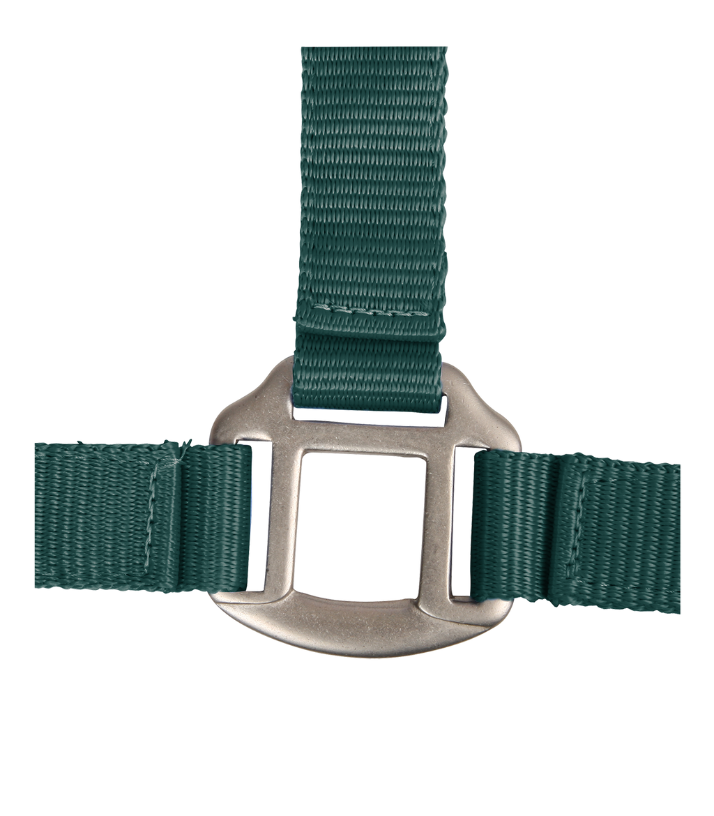 Licol Satin Vert - Waldhausen
