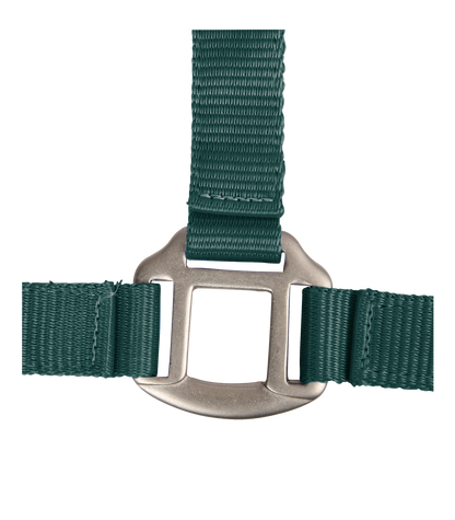 Licol Satin Vert - Waldhausen