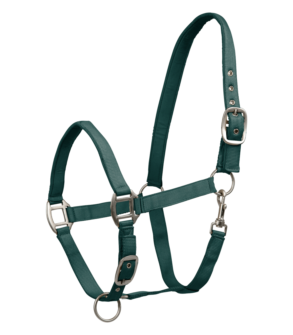Licol Satin Vert - Waldhausen