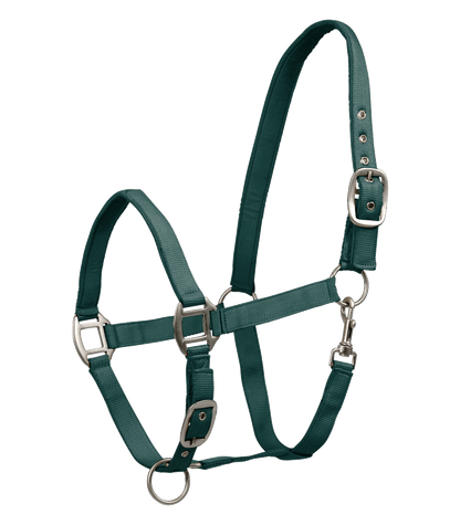 Licol Satin Vert - Waldhausen