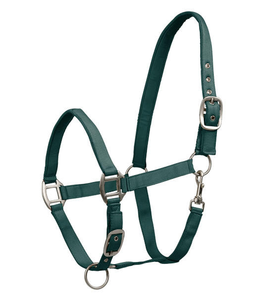 Licol Satin Vert - Waldhausen