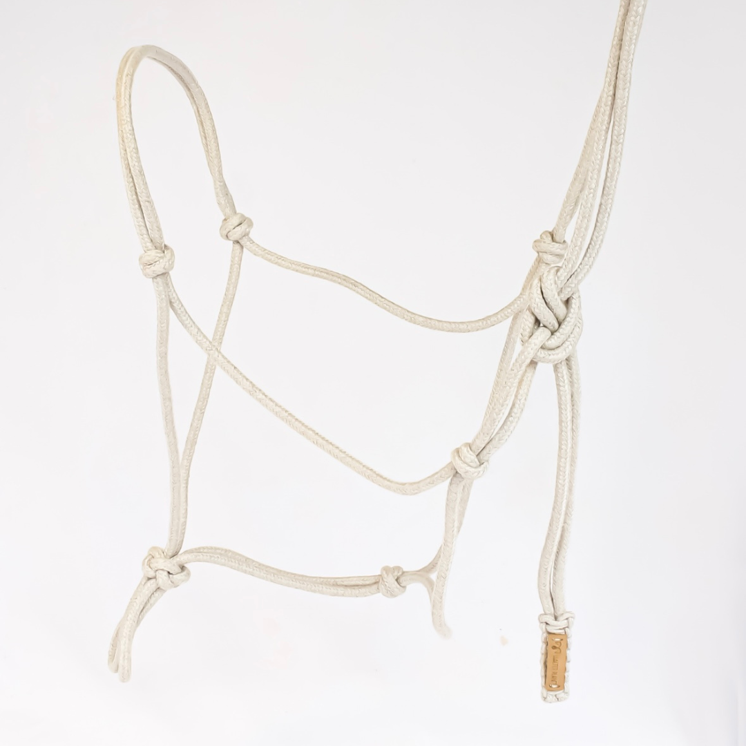 Licol en corde - Halter Planet