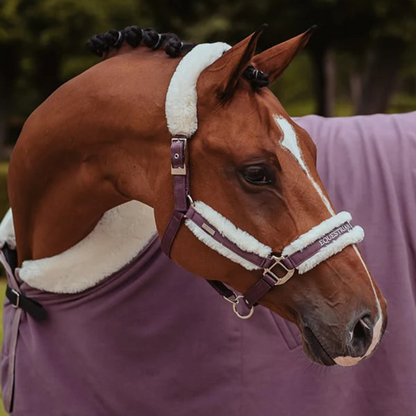 Licol doublé moumoute et longe Orchid Bloom - Equestrian Stockholm