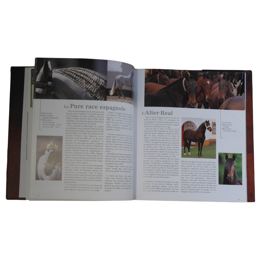 Livre portrait des chevaux Castor & Pollux - Occasion