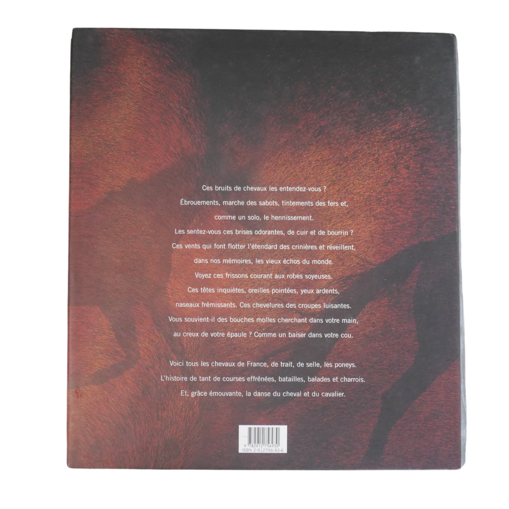 Livre portrait des chevaux Castor & Pollux - Occasion