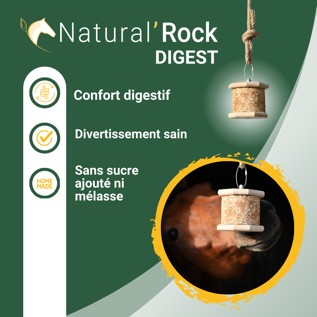 Natural'Rock Digest - Natural'Innov