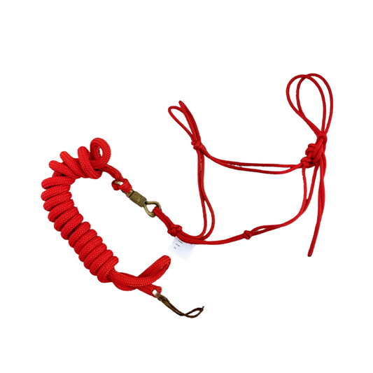 Ensemble Licol et longe éthologique rouge - Horse & Ropes - Occasion