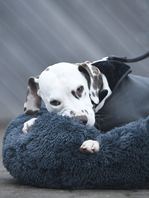 Panier pour chien Dark Sky - Equestrian Stockholm