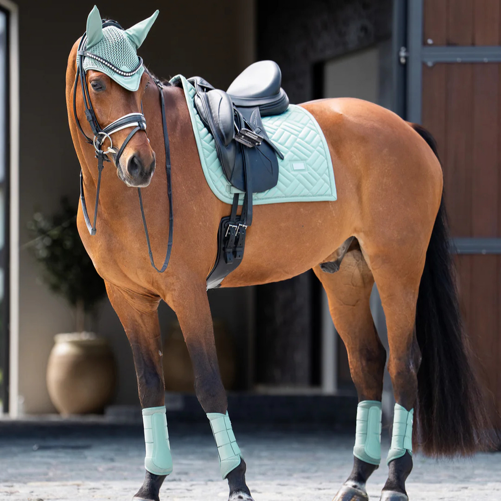 Tapis de dressage Mint Green - Equestrian Stockholm